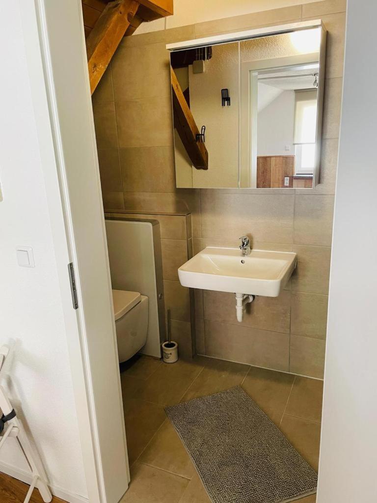 Dachstudio Eggingen 外观 照片